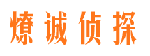 团城山市侦探调查公司